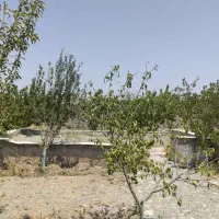 باغچه 500متری از زمینهای پیشک