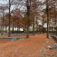 منطقه-چلندر-28پلاک-بافت-مسکونی-سندششدانگ