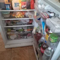 فروش یخچال سامسونگ جا دار