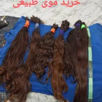 ویزیتور،پورسانت،بانوان