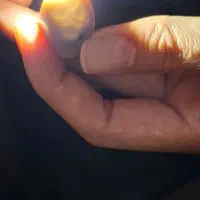 موکل