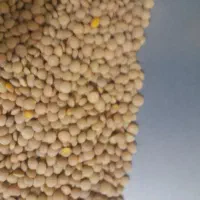 خرید و فروش انواع حبوبات|خوردنی و آشامیدنی|بابا حیدر, |دیوار