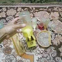 لونه و لوازم معاوضه با قفس|لوازم جانبی حیوانات|مشهد, شهید قربانی|دیوار