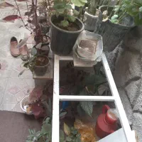 نردبان|ابزارآلات|تبریز, |دیوار