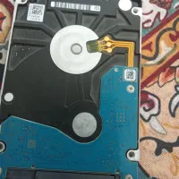 هاردیک‌ترا