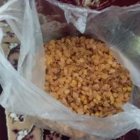 کشمش دونیم کیلو