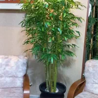 درختچه خیزران مصنوعی ۱۰۰۰/۰۰۰ت