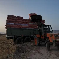 فروش کاه درجه یک