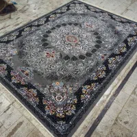 نوآکبند تولید کننده هستیم شاهان نقره ی