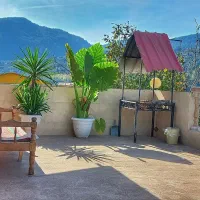 طبیعت سرسبز وجنگلی شیرگاه ویو عالی و دنج|اجارهٔ کوتاه‌مدت آپارتمان و سوئیت|شیرگاه, |دیوار