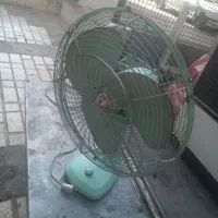 پنکه آلمانی