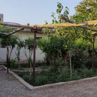 باغچه|فروش خانه و ویلا|جوادآباد, |دیوار