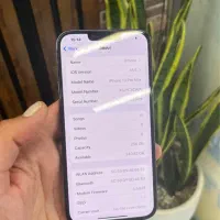 ایفون۱۳پرومکس|موبایل|اصفهان, خرم|دیوار