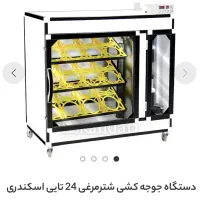دستگاه جوجه کشی شتر مرغ ۲۴عددی