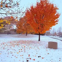 کارمند مسلط به درج کالا در دیجی کلا