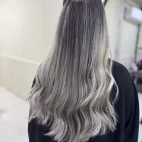 خدمات و آموزش رنگ ولایت