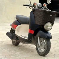 پاکشتی وینو طرح مُلف