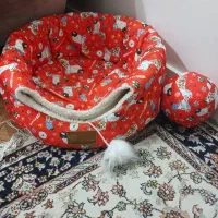 جا خواب سگ و گربه
