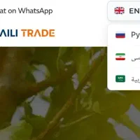 طراحی سایت چند زبانه و فروشگاهی