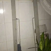 دار قالی زر و نیم