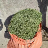 یونجه/علوفه|لوازم جانبی حیوانات|تهران, علم و صنعت|دیوار