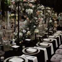 باغ عمارت زمرد|خدمات پذیرایی، مراسم|گرمدره, |دیوار