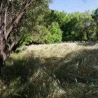 قطعه زمین ۱ هکتاری واقع در روستای الویجان|فروش دفتر صنعتی، کشاورزی، تجاری|تفرش, |دیوار