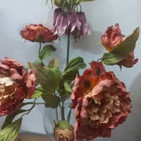 ۵ شاخه گل خارجی و گلدان|گل مصنوعی|همدان, |دیوار