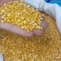 پخش تنظیم بازاری حبوبات لوبیا عدس لپه نخود فلافلی|خوردنی و آشامیدنی|تهران, یافتآباد|دیوار