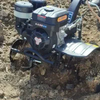 تیلر زنی فوری، استاندارد، منصفانه