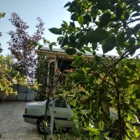 فروش ویلا مسکونی دارای سند تک برگ|فروش خانه و ویلا|رشت, حومه رشت|دیوار