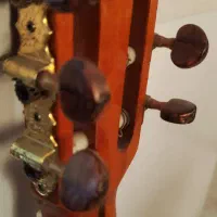 گیتار مدلjycg m256|گیتار، بیس، امپلیفایر|تهران, میدان ولیعصر|دیوار