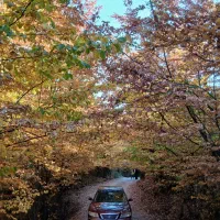 اجاره خودرو ازرا شرابی|خودرو اجاره‌ای|رشت, پیرسرا|دیوار