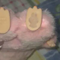 عروسک لبوبو اورجینال ژاپنی|اسباببازی|طرقبه, |دیوار