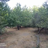 فروش زمین ۱۰۵۰ متری در طرق و ۲۱۰ متر مسکونی|فروش زمین و ملک کلنگی|مشهد, طرق|دیوار