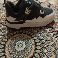 کفش جوردن ۴