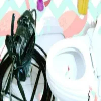 لوله بازکنی مولوی شوش17شهریور خاوران ری محلاتی|خدمات پیشه و مهارت|تهران, مولوی|دیوار