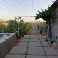 باغ-پسته