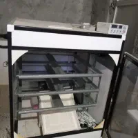 دستگاه جوجه کشی اسکندری