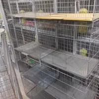 قفس قاطر یا جوجه پران