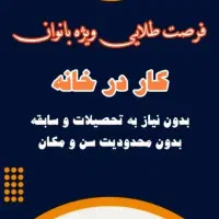 کار ویژه خانم ها