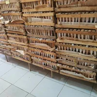 پخش عمده عسل|عمدهفروشی|اردبیل, |دیوار