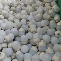 50وات|لامپ و چراغ|صباشهر, |دیوار