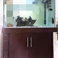 آکواریوم کمددار ۸۰ در ۶۰ در ۳۰