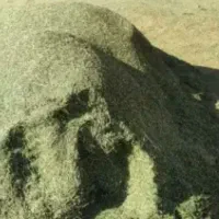 یونجه‌