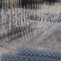 تولید وپخش عمده حفاظ شاخ گوزنی