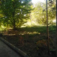 نیازمند کارگر باغبانی