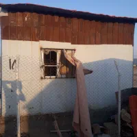 کانکس|مصالح و تجهیزات ساختمان|ایوانکی, |دیوار