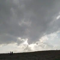 فروش-زمین-کشاورزی