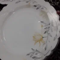 سرویس بشقاب|ظروف سرو و پذیرایی|بیرجند, |دیوار